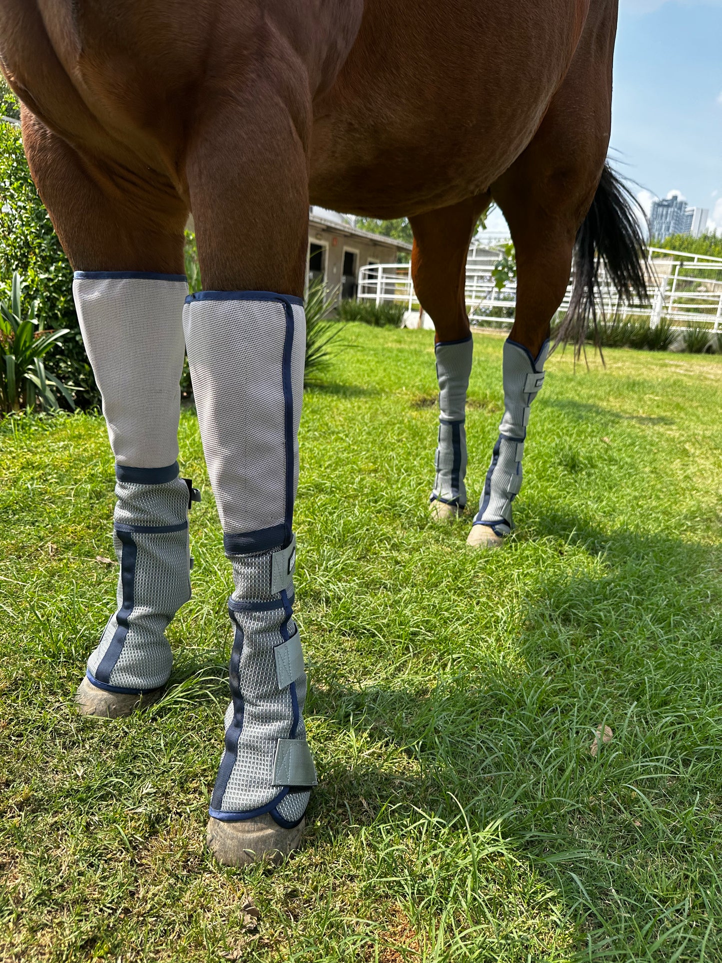 Botas Anti-mosca